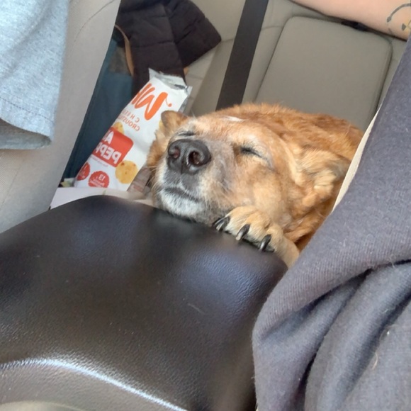 Meet your Posher, Jack - Picture 1 of 1